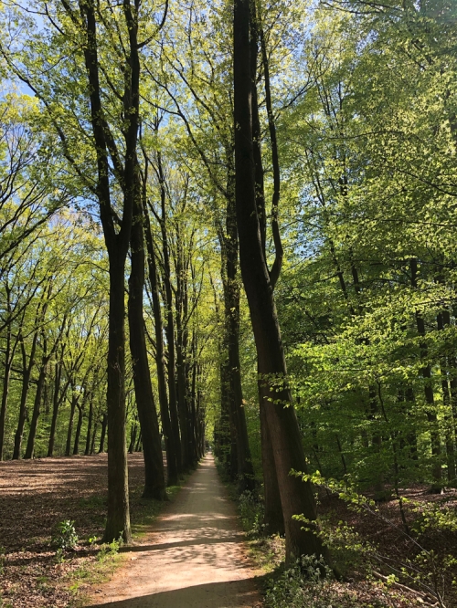 Smullen tussen de Slinge en het Kloosterbos