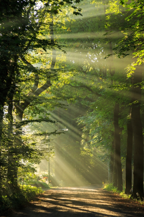 Genieten van de natuur en gastvrijheid in Lanaken 