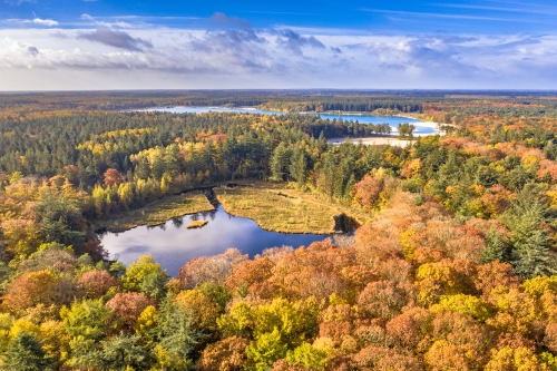 Het Gasselterveld Natuuravontuur