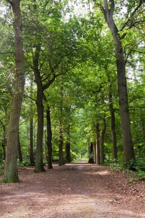 Over bergen en door dalen in het Rijk van Nijmegen