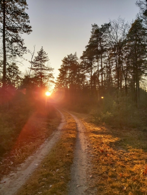 Landgoed Staverden en Stakenberg op de Veluwe